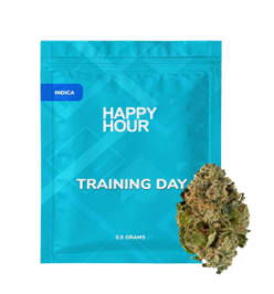 Training Day - Training Day 28G